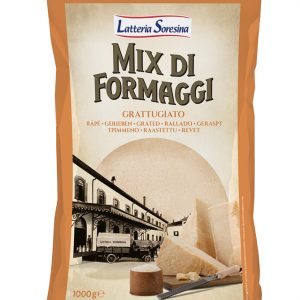 Artikel-Nr. 0678<br>ITALIENISCHER HARTKÄSE-MIX GERIEBEN, Hartkäse aus Italien, 1,0 kg