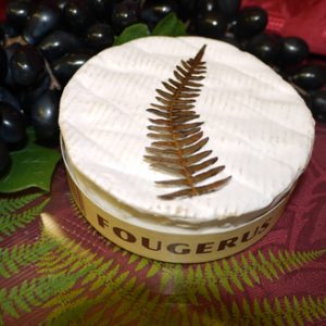 Artikel-Nr. 2142<br>FOUGERUS MINI, Weichkäse aus Frankreich, 250 g